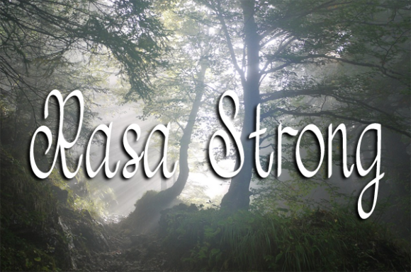 Rasa Strong Font Poster 1