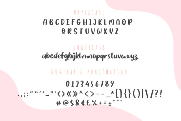 Raynam Sonary Font Poster 2