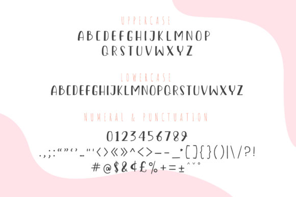 Raynam Sonary Font Poster 3