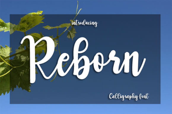 Reborn Font Reborn Font Poster 1