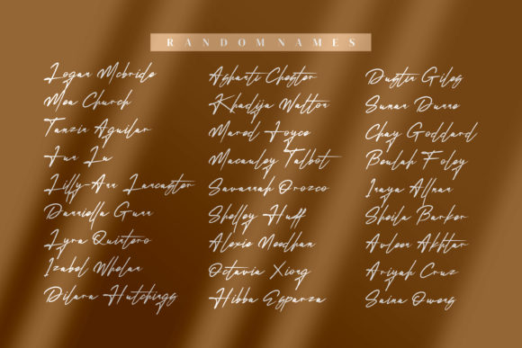 Reillytta Sheilabe Font Poster 4