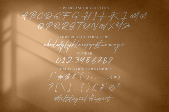 Reillytta Sheilabe Font Poster 6
