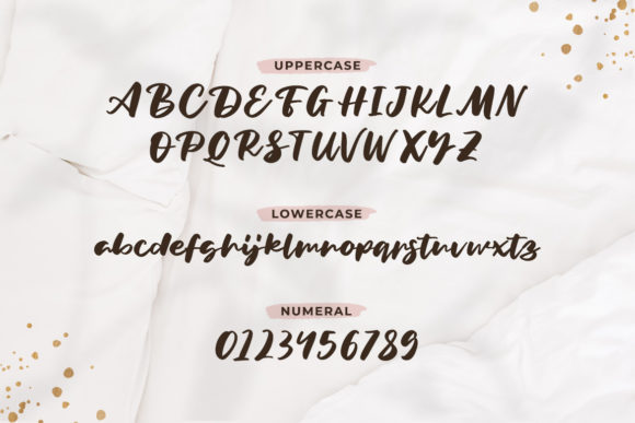 Rekan Font Poster 2