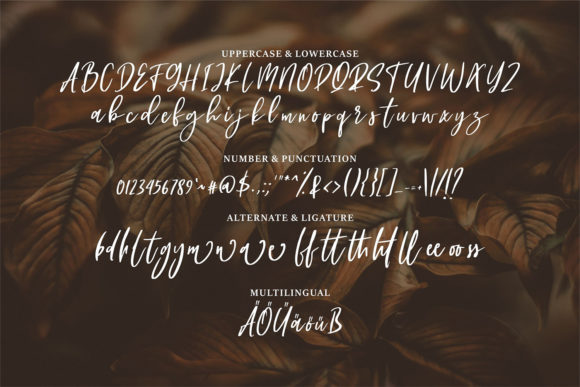 Rikolay Font Poster 6
