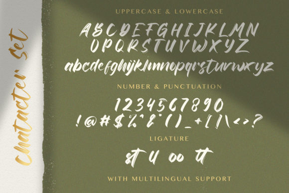 Rinjany Font Poster 14