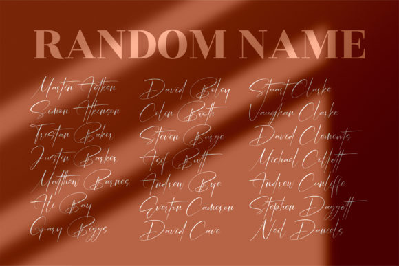 Rockystyle Signature Font Poster 4