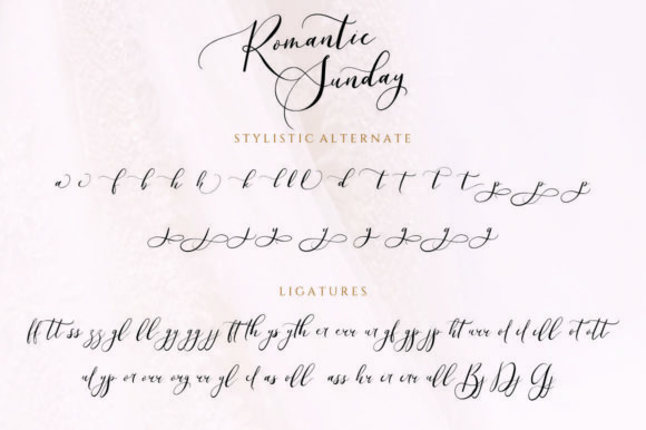 Romantic Beauty Font Poster 12