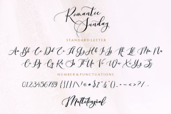 Romantic Beauty Font Poster 10