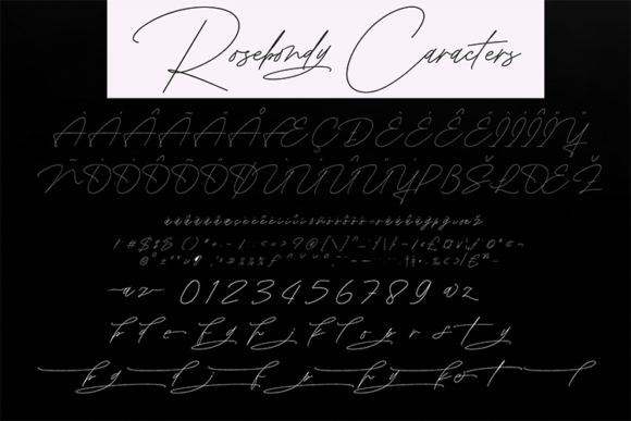 Rosebondy Font Poster 11
