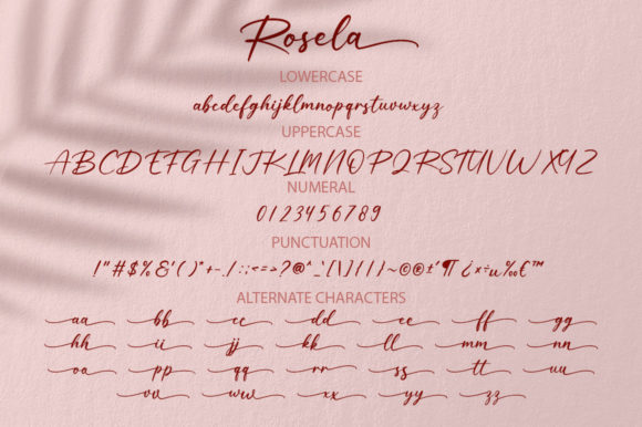 Rosela Font Poster 8