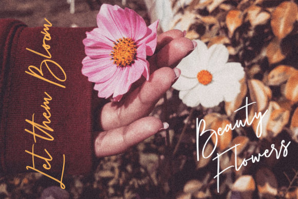 Rottens Signature Font Poster 4