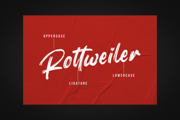 Rottweiler Font Poster 9