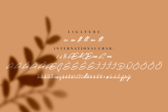 Sahida Font Poster 7