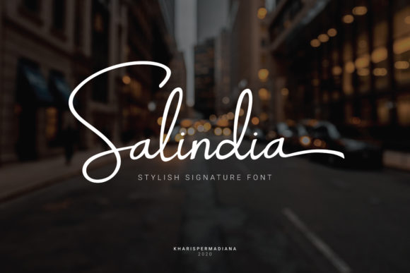 Salindia Font Poster 1