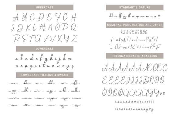 Salindia Font Poster 6