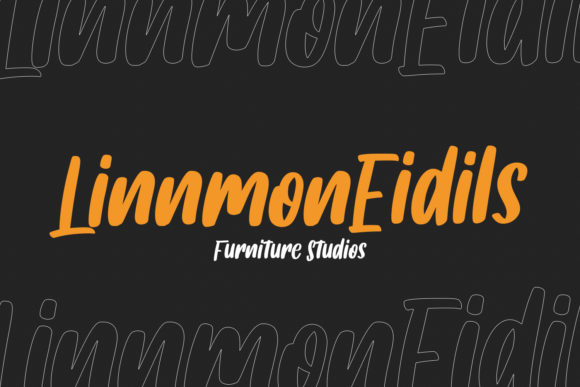 Salmonillo Font Poster 7