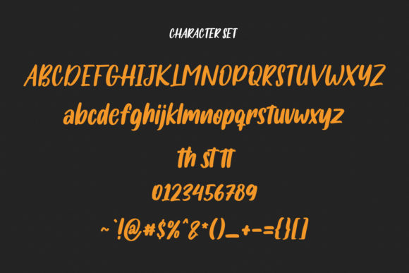 Salmonillo Font Poster 8