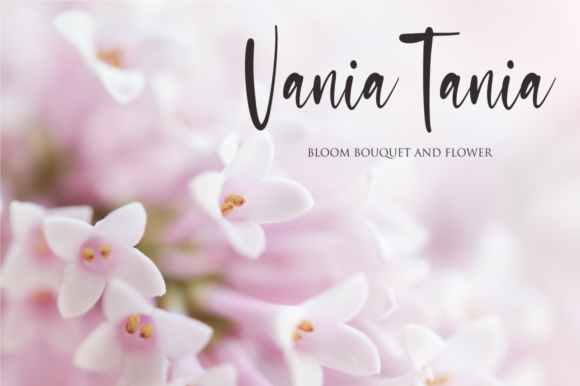 Sasa Font Poster 2