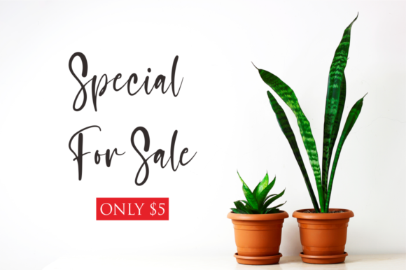 Sasa Font Poster 6