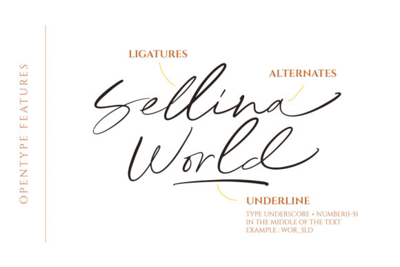 Sellina World Font Poster 6