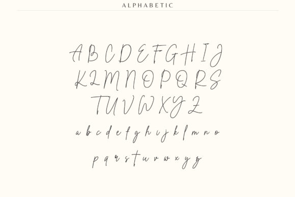 Sentania Font Poster 5
