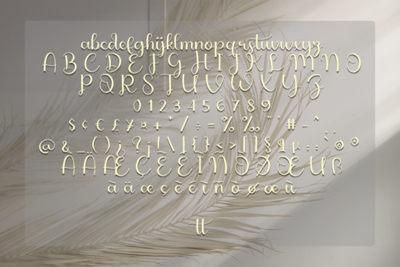 September Font Poster 5