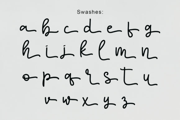 Seritta Font Poster 8