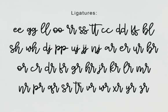 Seritta Font Poster 9