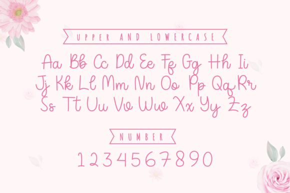 Shabella Font Poster 5
