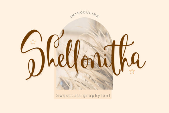 Shellonitha Font Poster 1