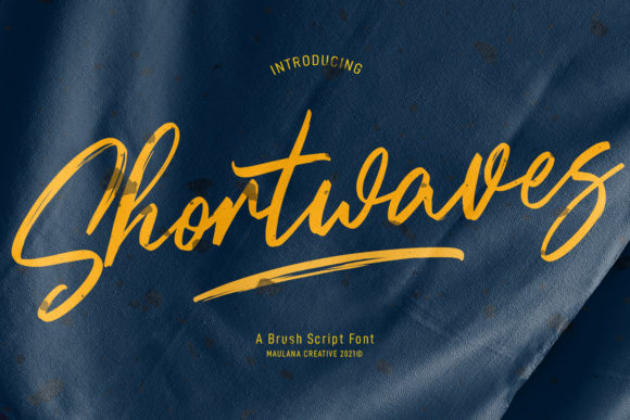 Shortwaves Font Poster 1