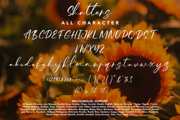 Shutters Font Poster 9