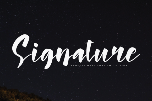 Signature Font Poster 1