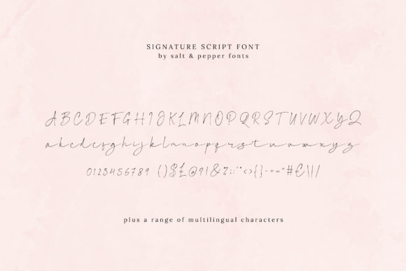 Signature Script Font Poster 7