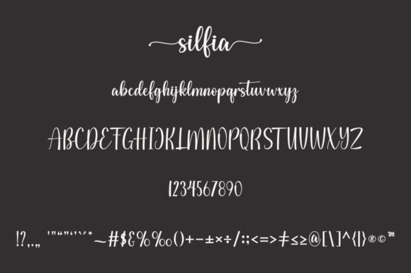 Silfia Font Poster 6