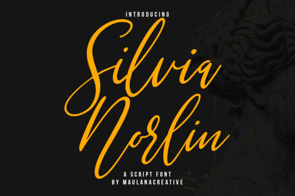 Silvia Norlin Font