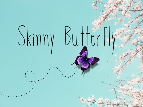 Skinny Butterfly Font Poster 1