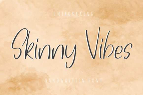 Skiny Vibes Font Poster 1