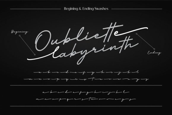Slowly Signature Font Poster 5