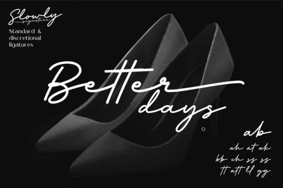Slowly Signature Font Poster 6