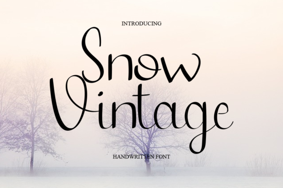 Snow Vintage Font Poster 1
