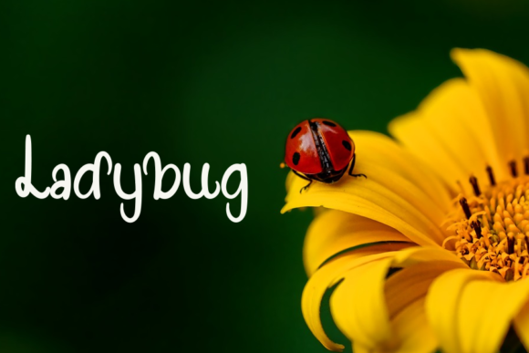 Special Flower Font Poster 2