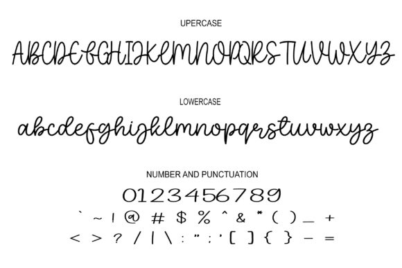 Special Moment Font Poster 3
