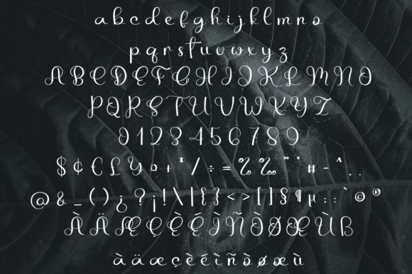 Spooky Garden Font Poster 4