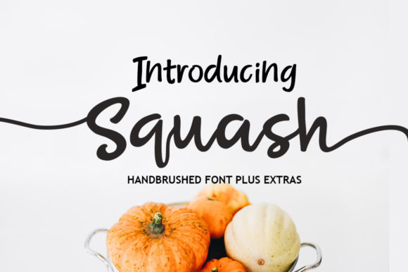 Squash Script Font Poster 1