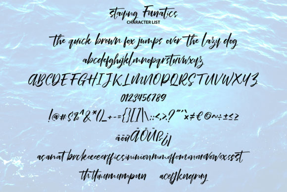 Stay Funatics Font Poster 6