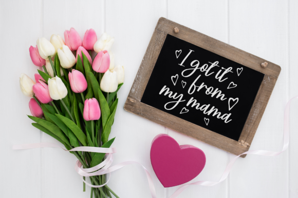 Steally Grace Font Poster 4