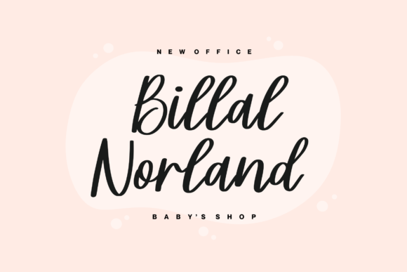 Steally Grace Font Poster 5