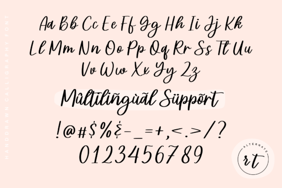 Steally Grace Font Poster 9
