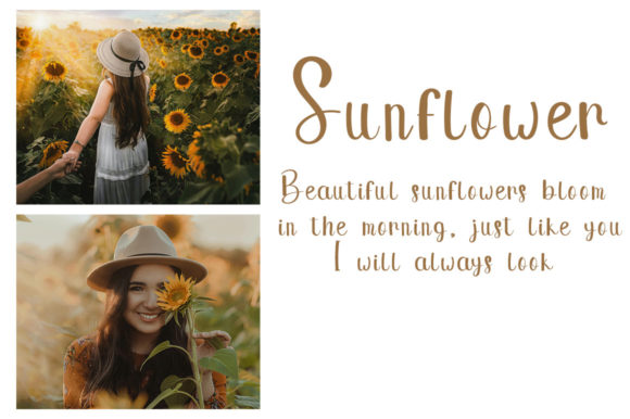 Story of September Font Poster 3